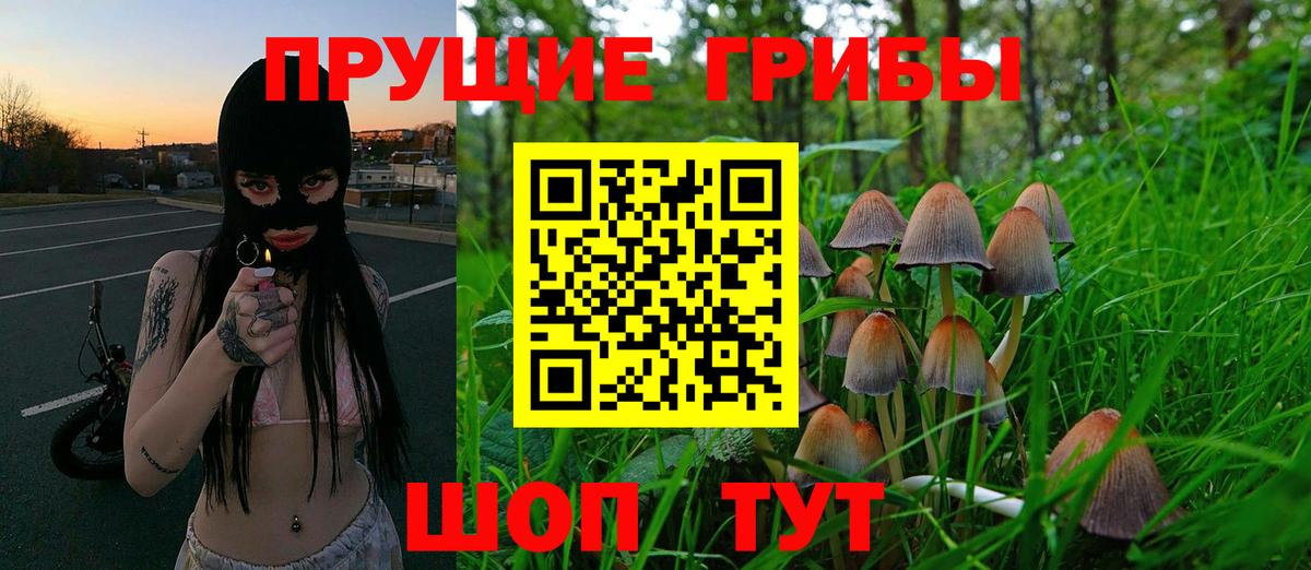 Псилоцибиновые грибы GOLDEN TEACHER Унеча