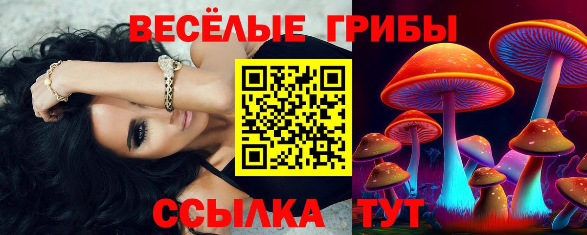 Унеча  Псилоцибиновые грибы ЛСД  закладка  Вход с VPN 